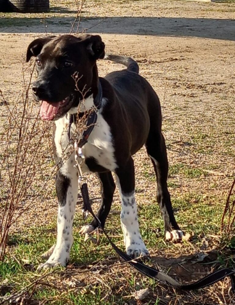 multimedia-foto77570-155-1