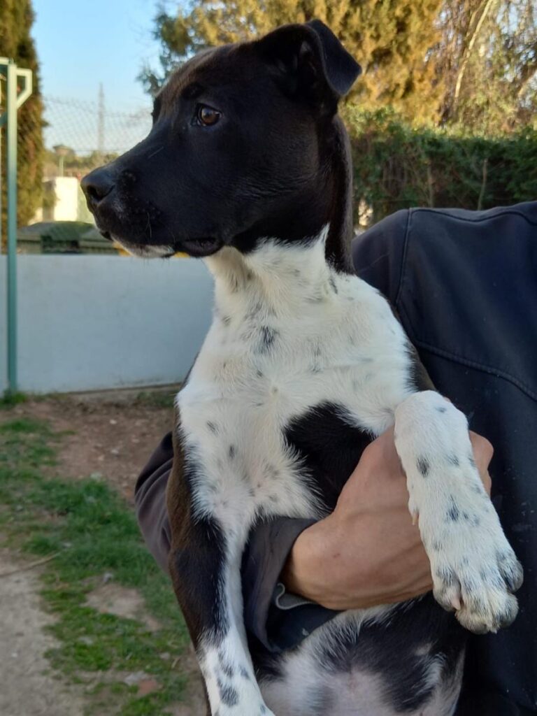 multimedia-foto77571-155-1