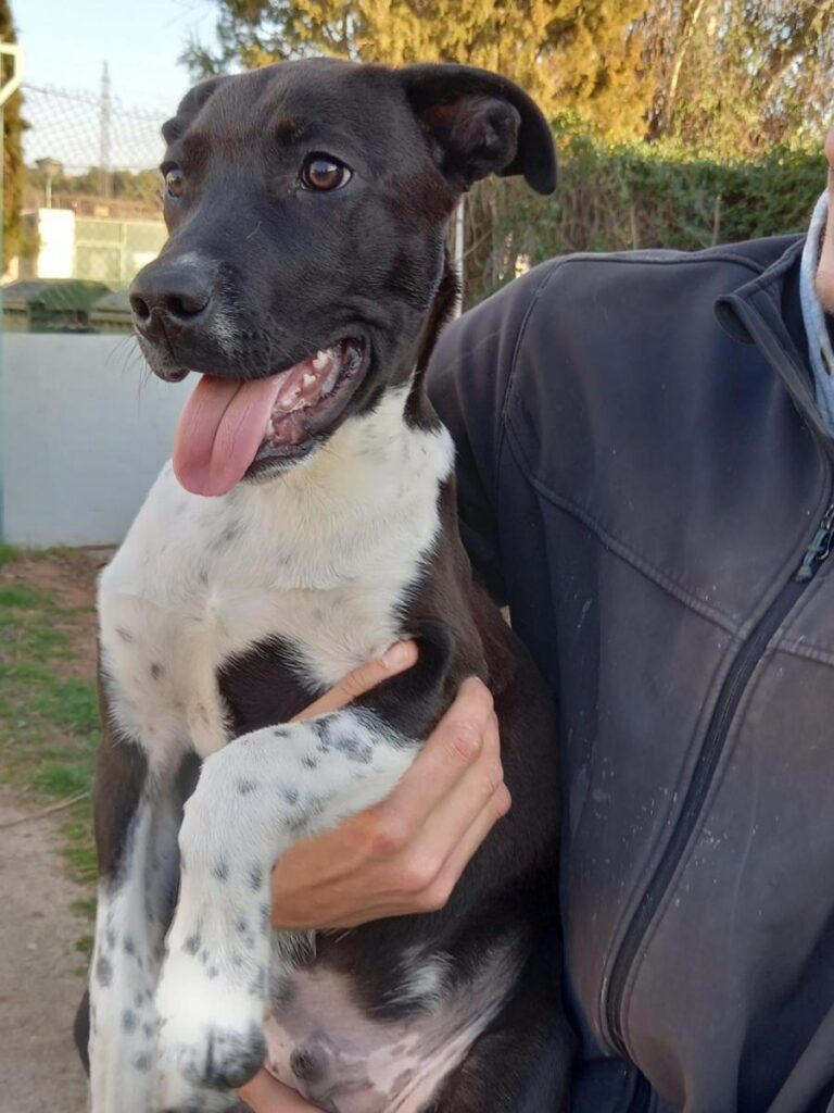 multimedia-foto77572-155-1