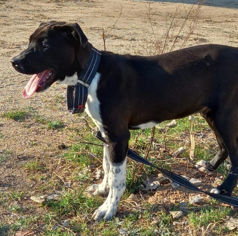 multimedia-foto77573-155-1