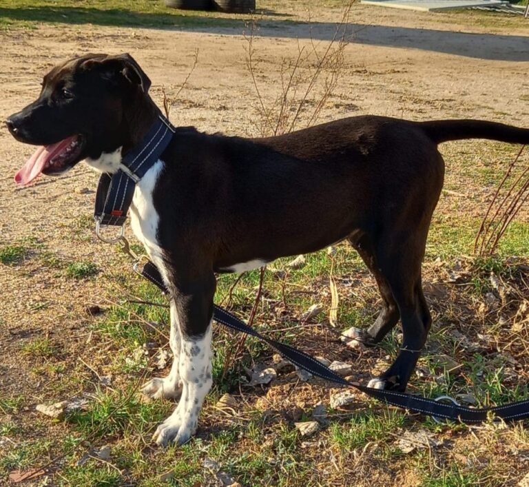 multimedia-foto77574-155-1