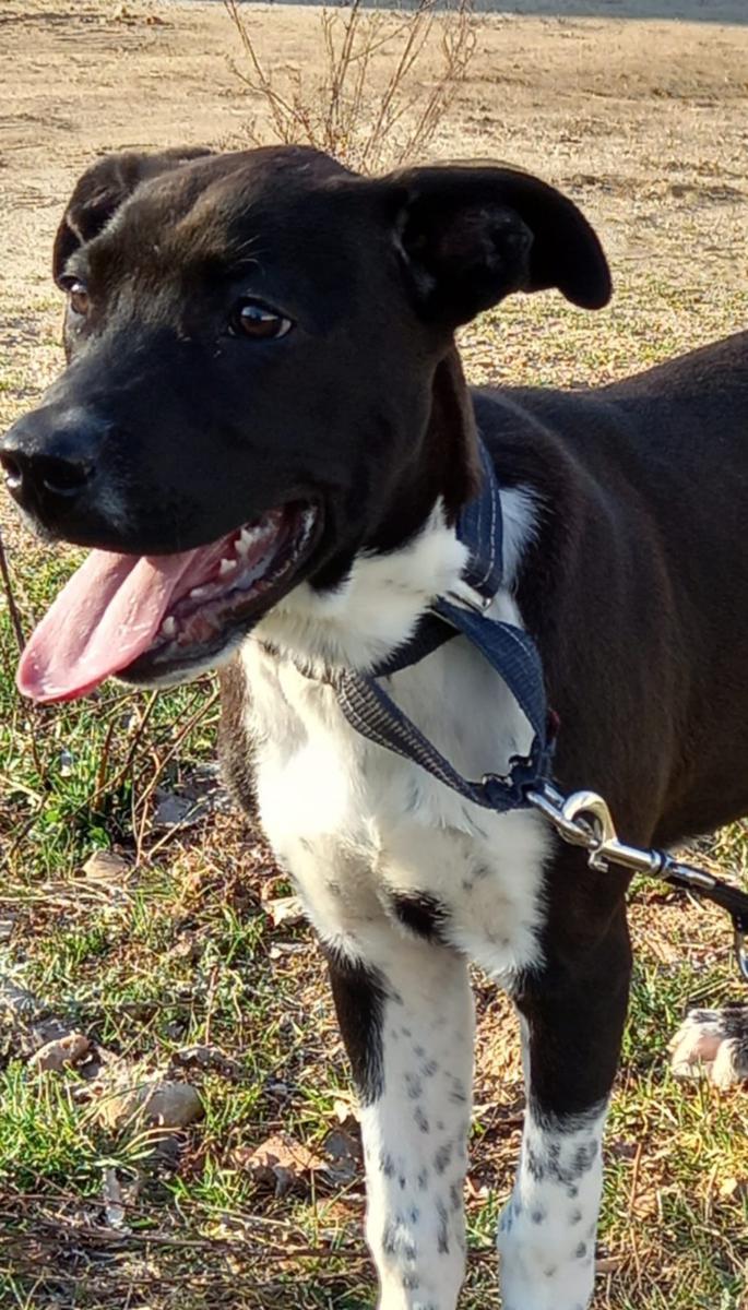 multimedia-foto77575-156-1