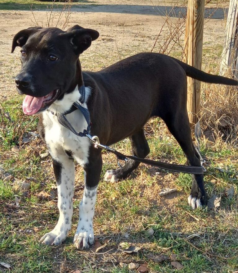 multimedia-foto77576-156-1