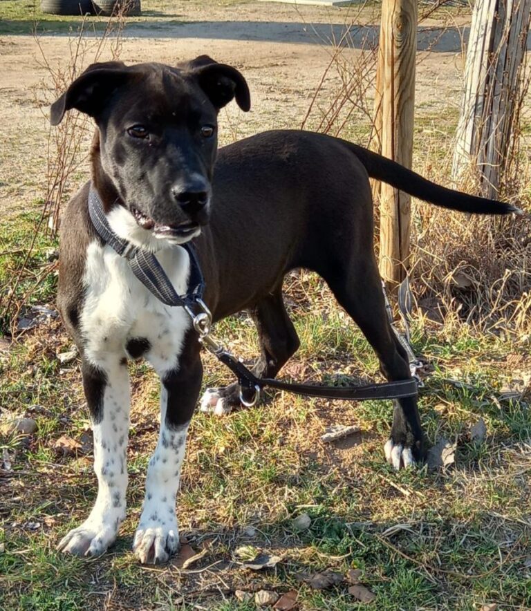 multimedia-foto77577-156-1