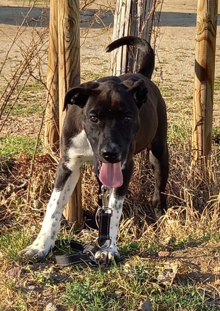 multimedia-foto77578-156-1