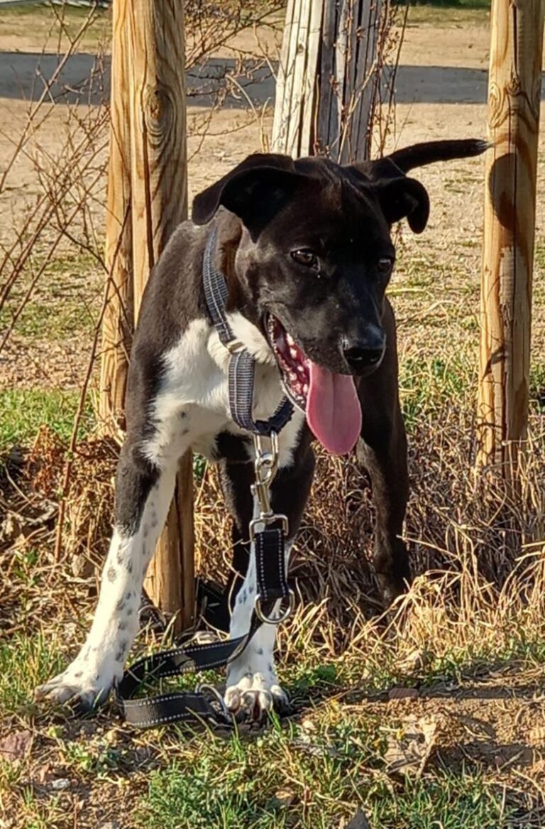 multimedia-foto77579-156-1