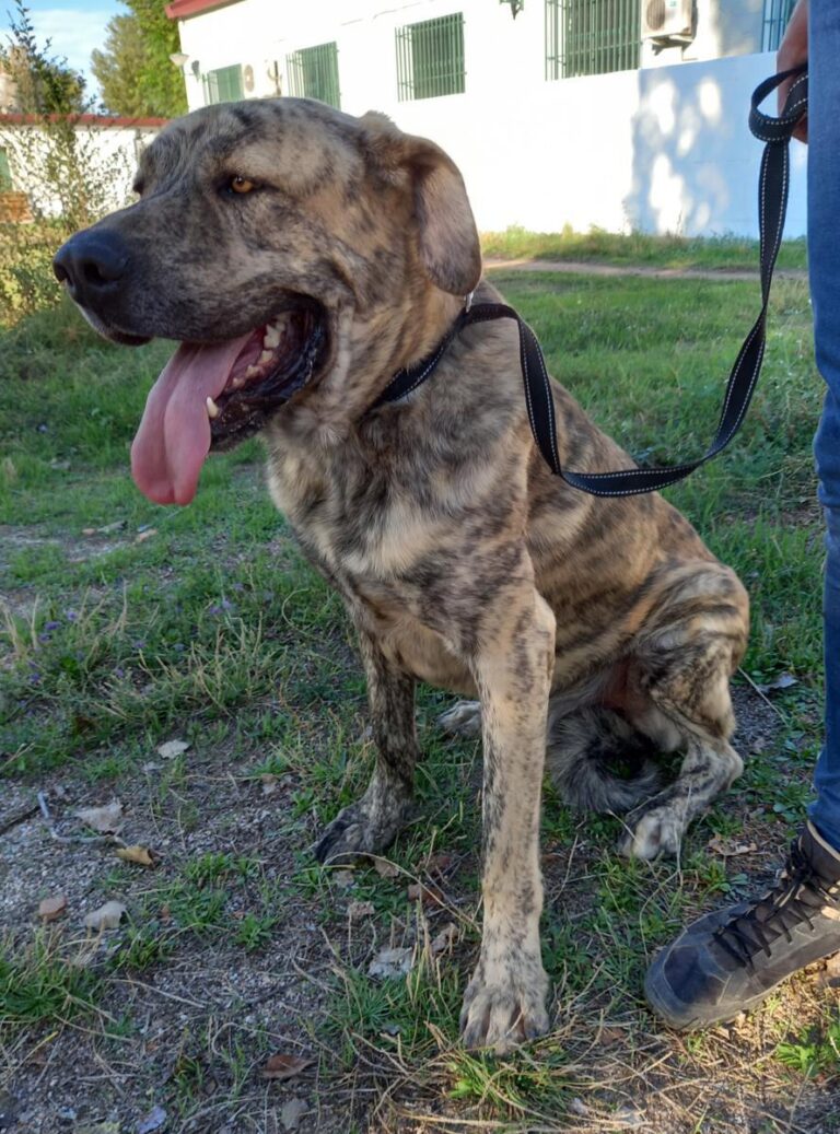 multimedia-foto77581-536-1