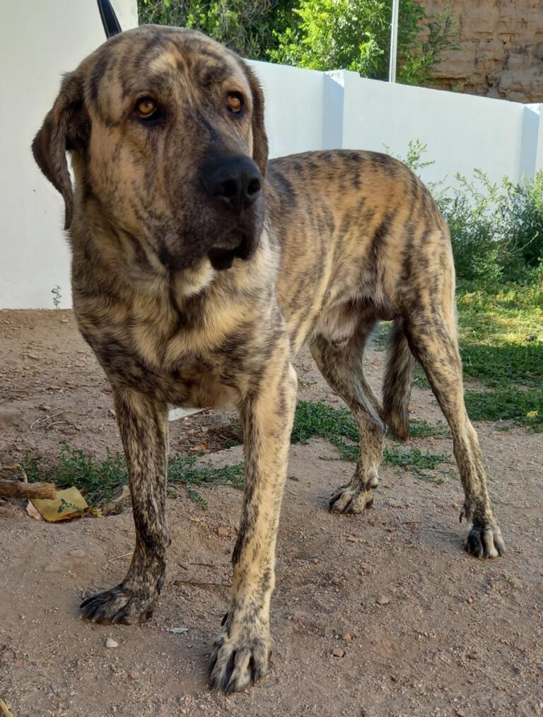 multimedia-foto77582-537-1