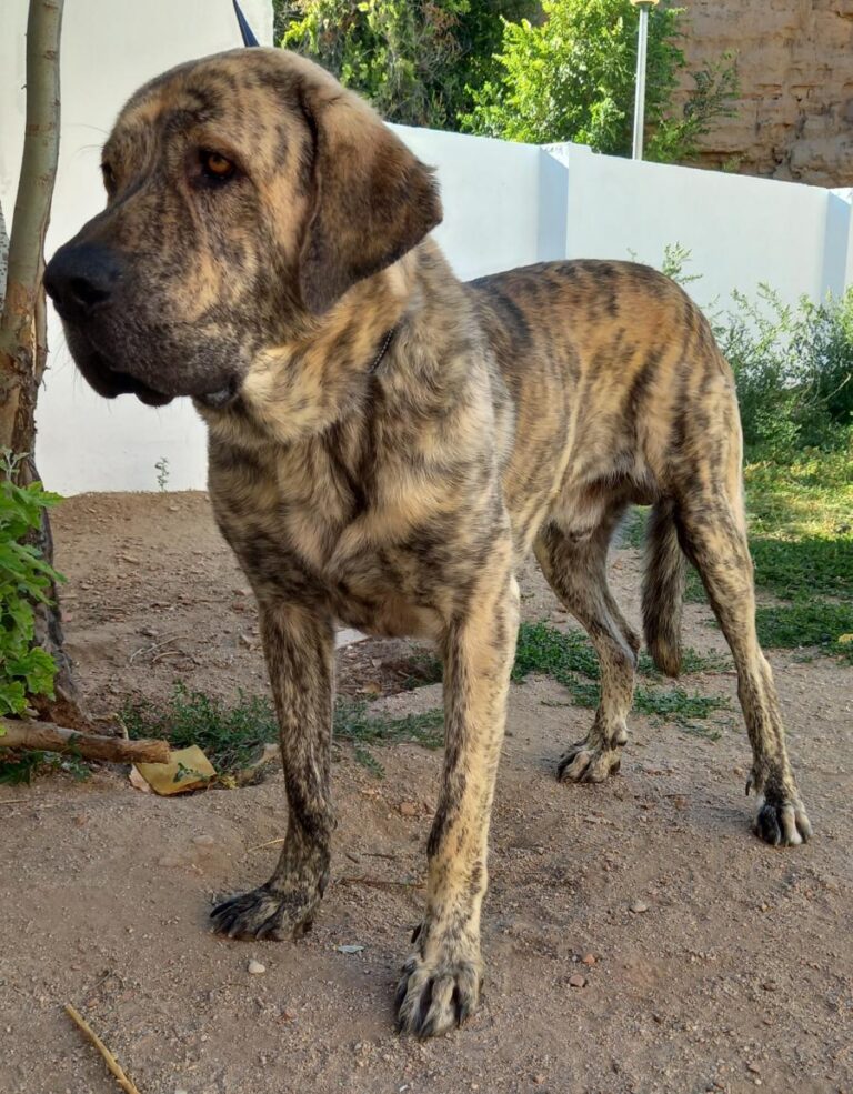 multimedia-foto77583-537-1