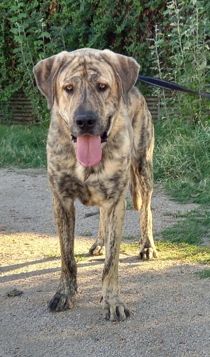 multimedia-foto77584-537-1