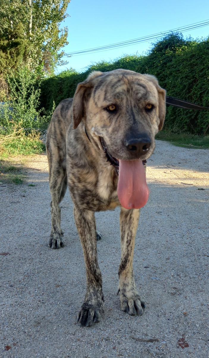 multimedia-foto77585-537-1