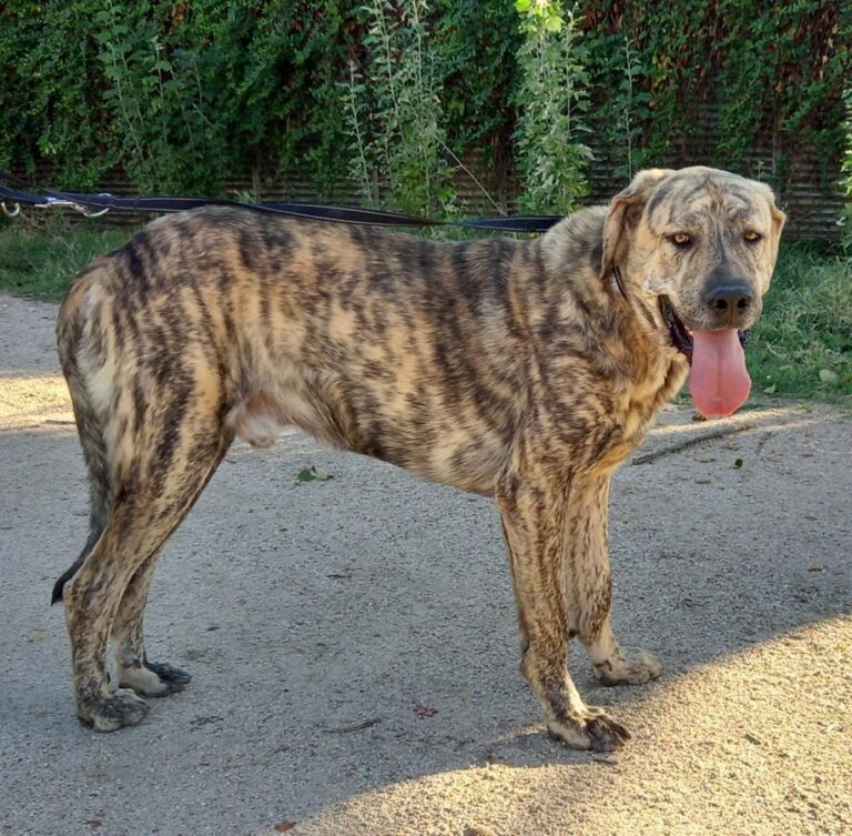 multimedia-foto77586-537-1