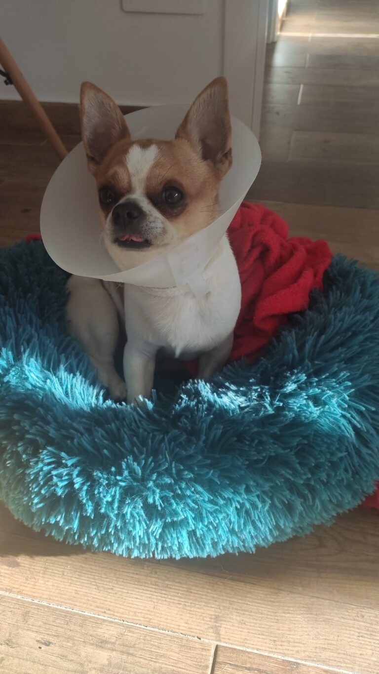 multimedia-foto77594-57-1