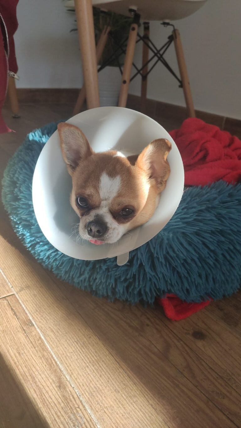 multimedia-foto77596-58-1