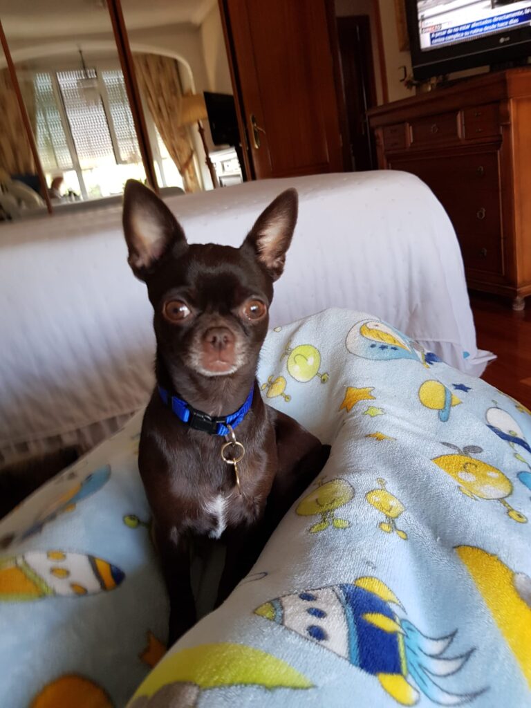 multimedia-foto77598-110-1