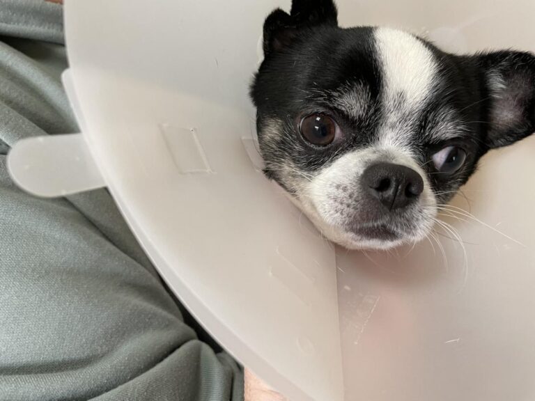 multimedia-foto77601-378-1