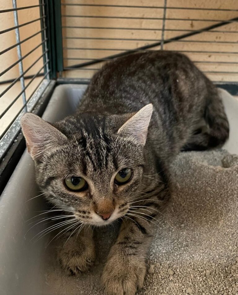 multimedia-foto77619-277-1