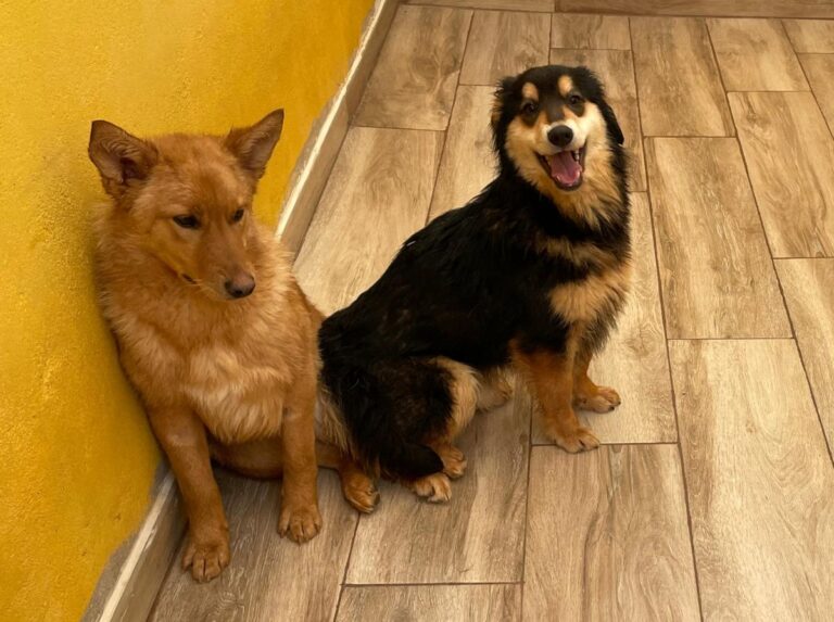 multimedia-foto77644-88-1