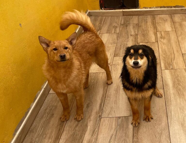 multimedia-foto77645-89-1