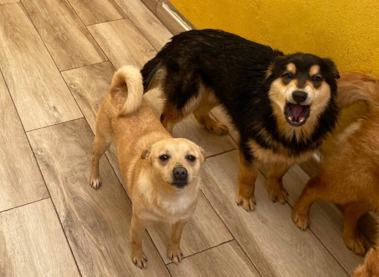 multimedia-foto77646-89-1