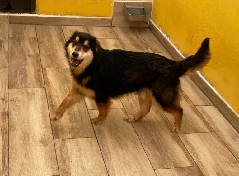 multimedia-foto77647-89-1