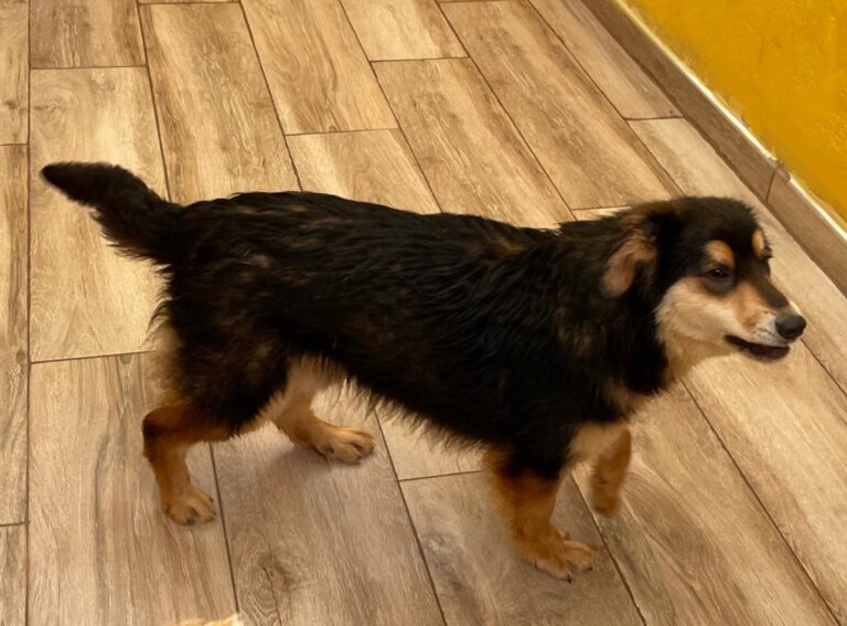 multimedia-foto77648-89-1