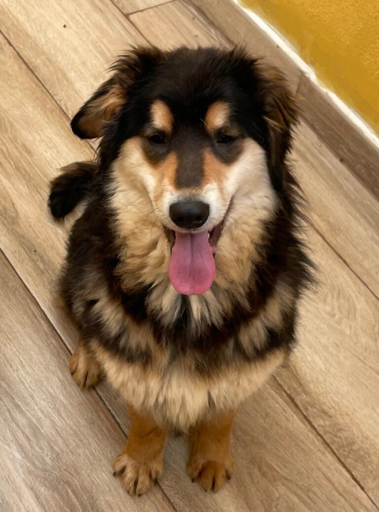 multimedia-foto77649-89-1