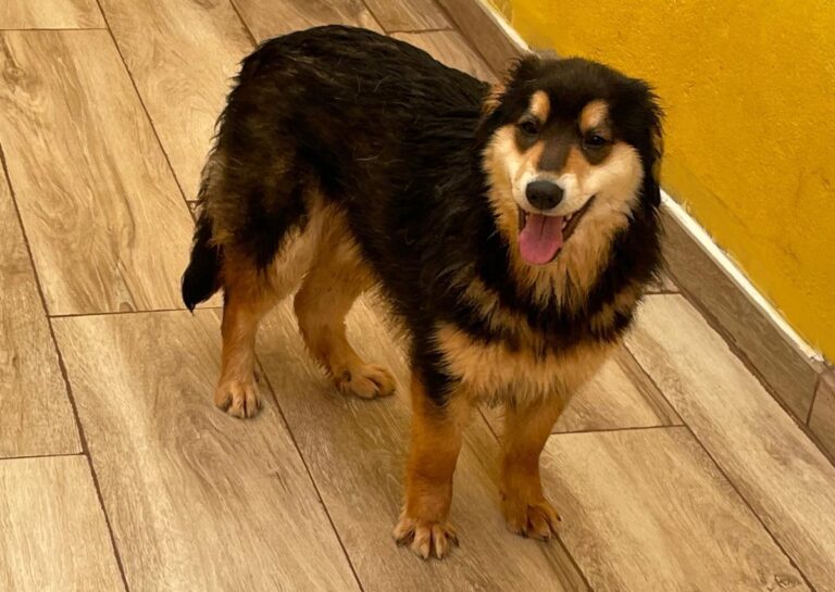 multimedia-foto77652-90-1