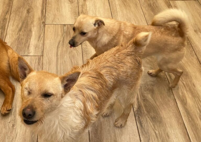 multimedia-foto77655-441-1