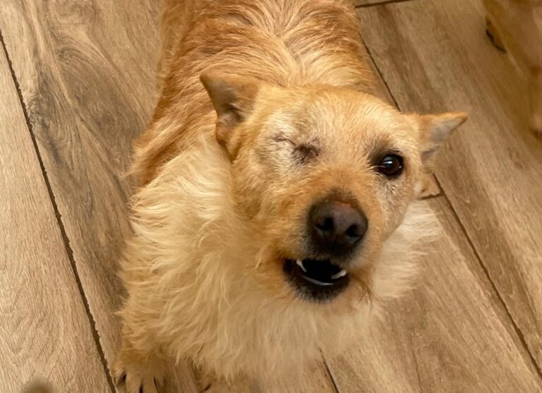 multimedia-foto77656-441-1