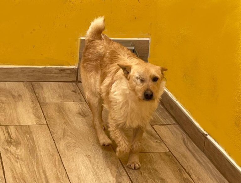 multimedia-foto77657-441-1