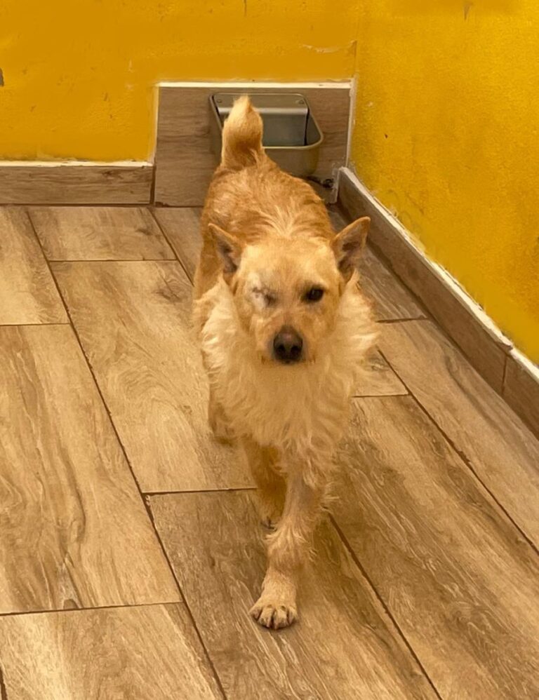 multimedia-foto77658-441-1