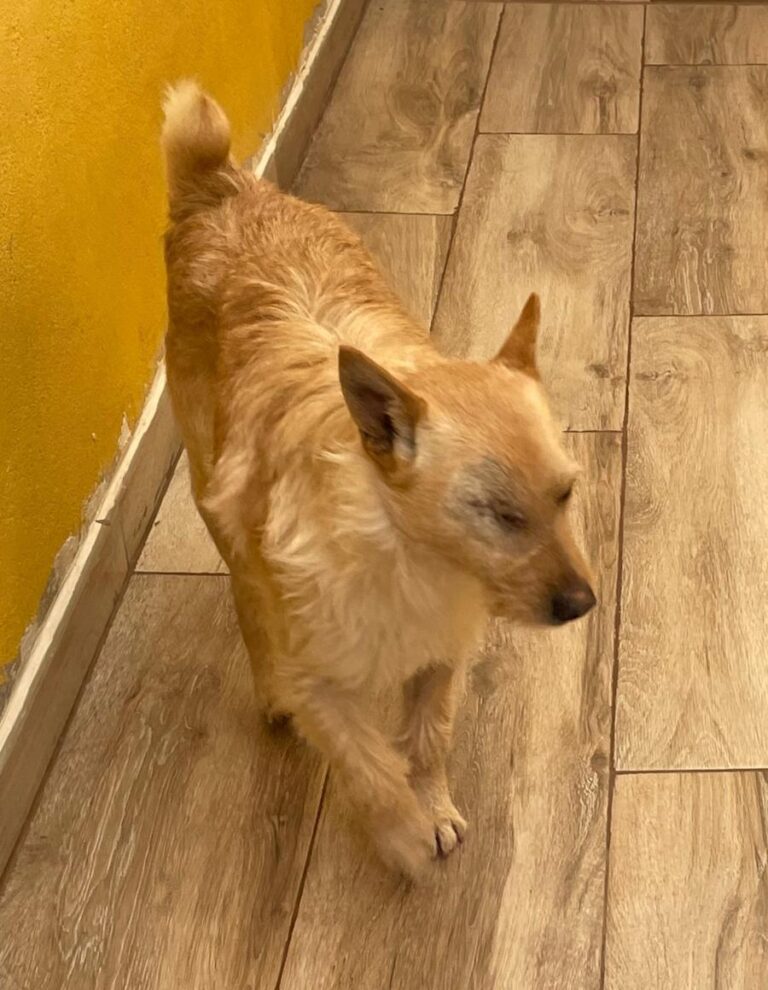 multimedia-foto77659-441-1