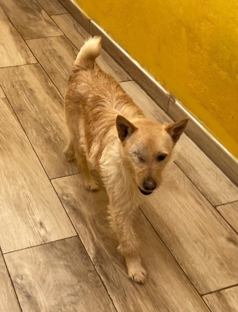 multimedia-foto77660-442-1