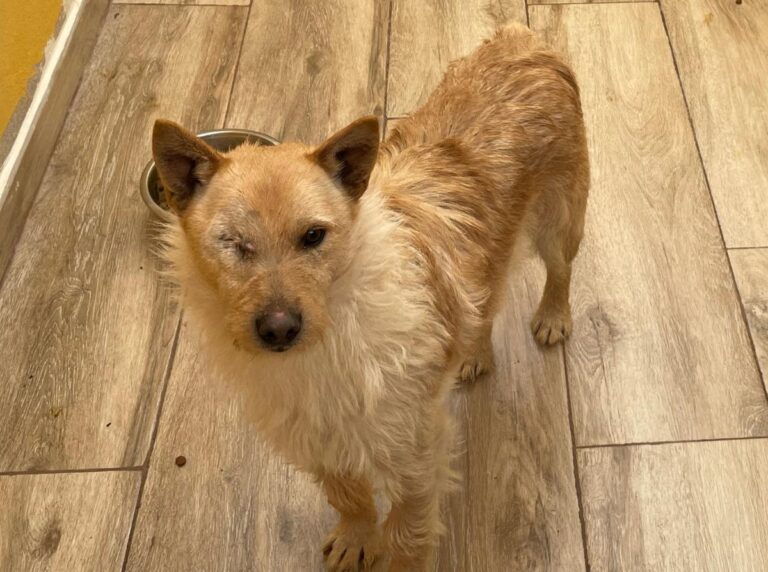 multimedia-foto77661-442-1