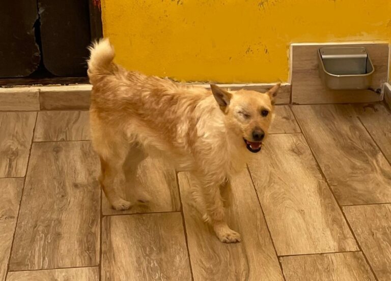 multimedia-foto77662-442-1