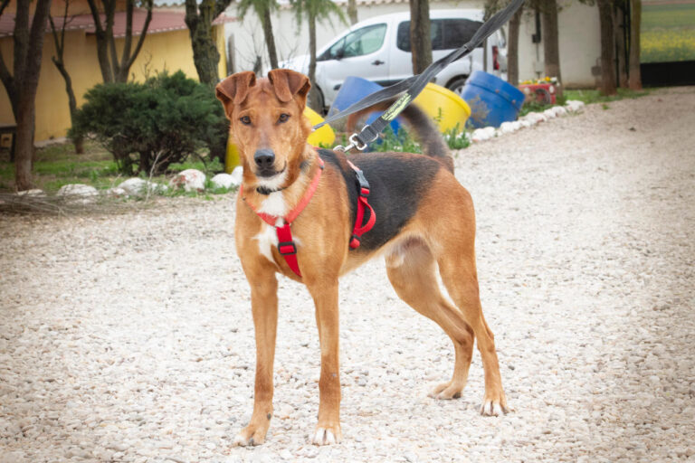 multimedia-foto77699-296-1