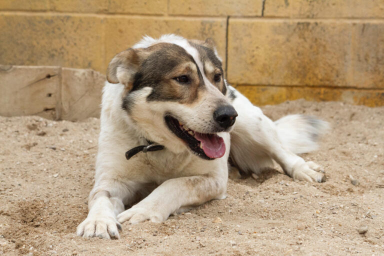 multimedia-foto77701-659-1