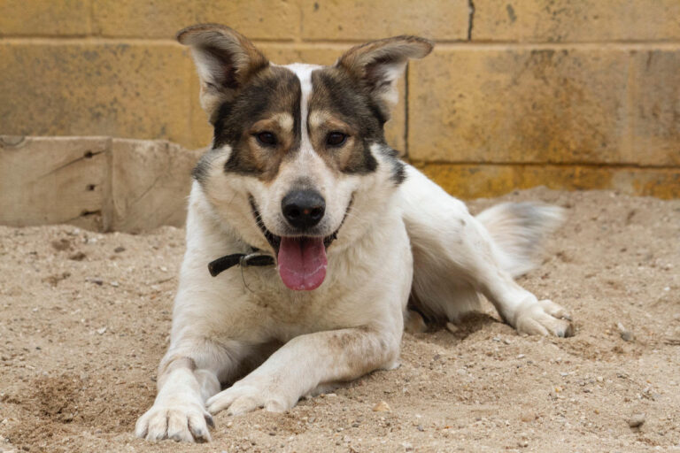 multimedia-foto77702-659-1