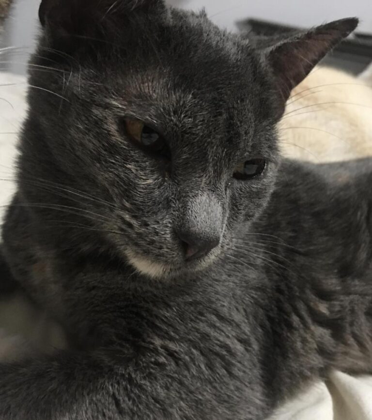 multimedia-foto77720-718-1