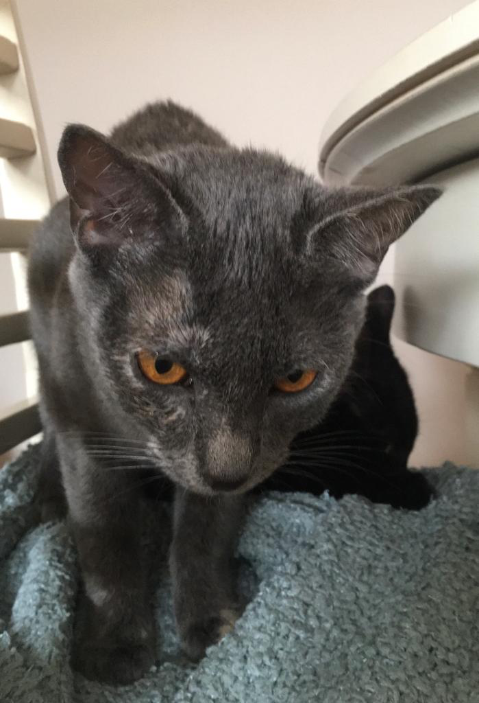 multimedia-foto77721-718-1