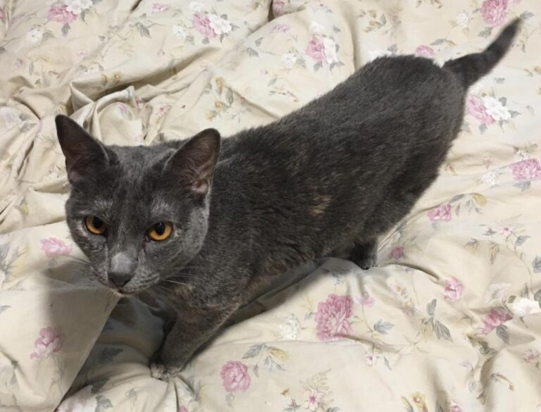 multimedia-foto77732-259-1