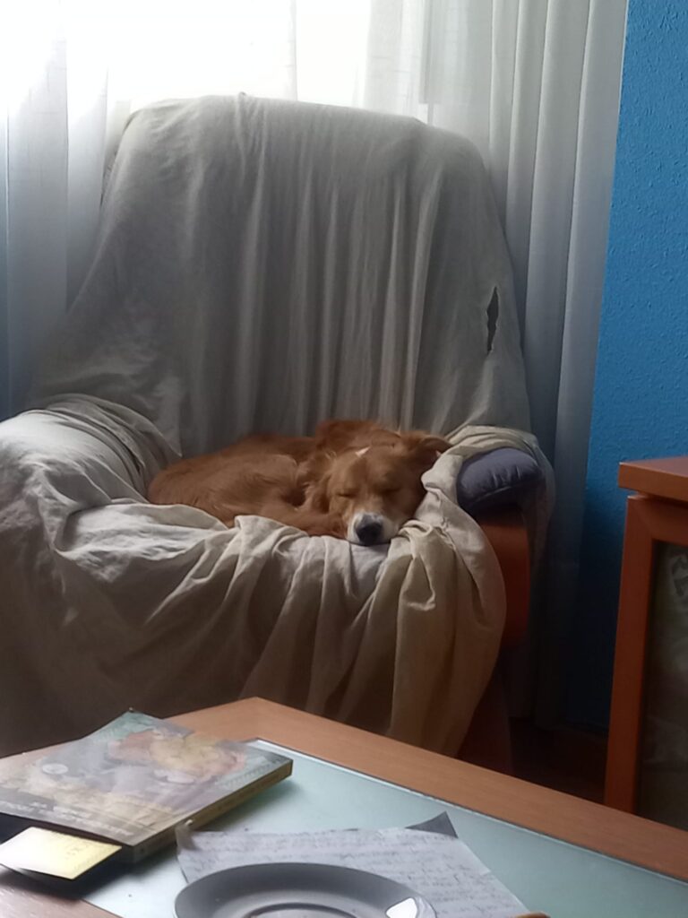 multimedia-foto77742-371-1