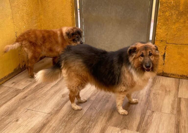 multimedia-foto77782-492-1