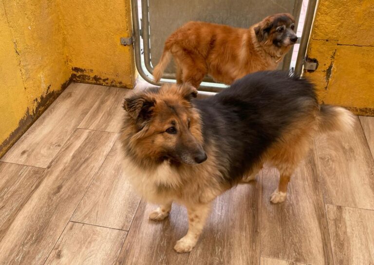 multimedia-foto77783-492-1