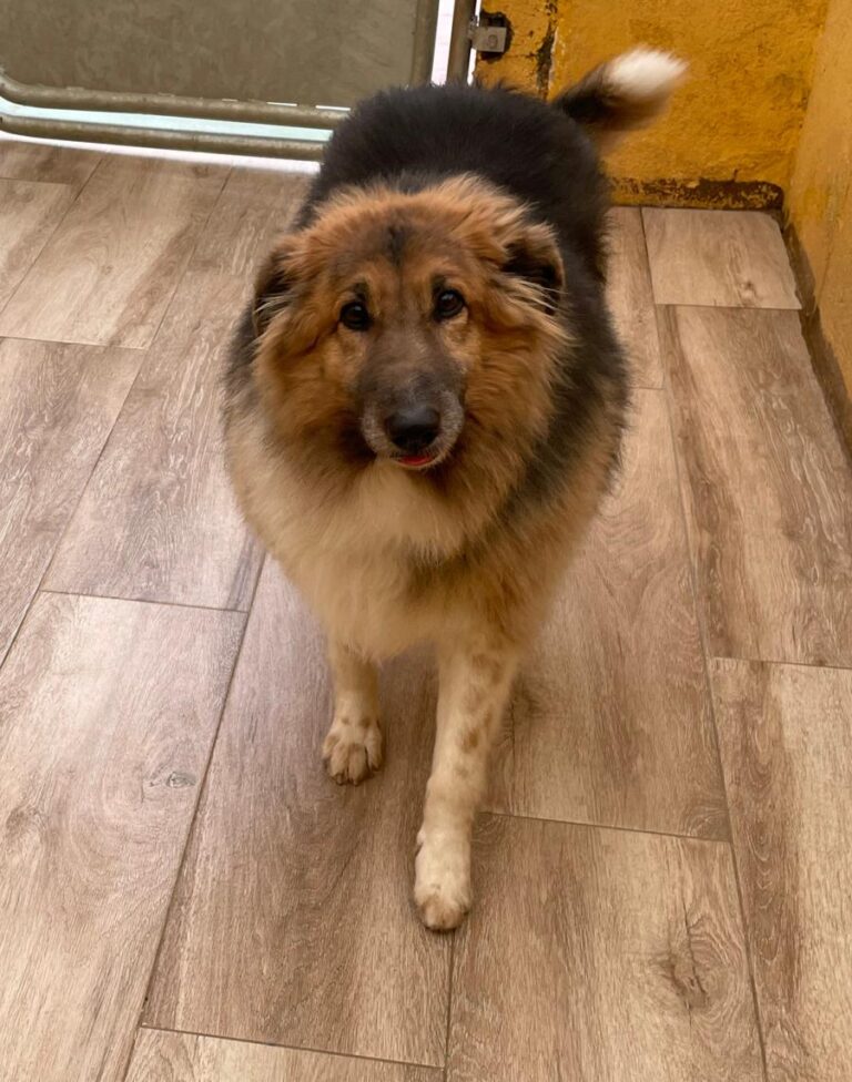 multimedia-foto77784-493-1