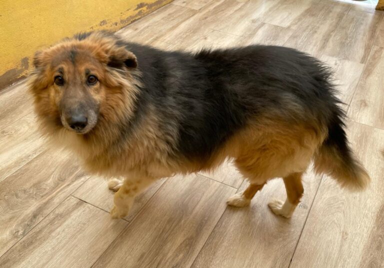 multimedia-foto77787-493-1