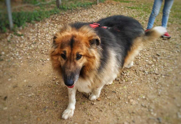 multimedia-foto77788-493-1