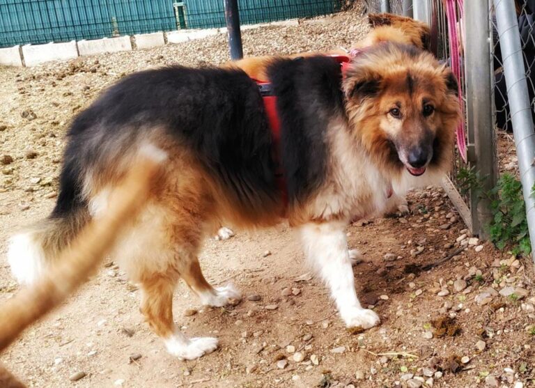 multimedia-foto77789-494-1