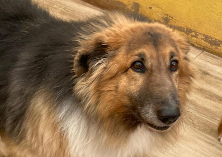 multimedia-foto77791-494-1